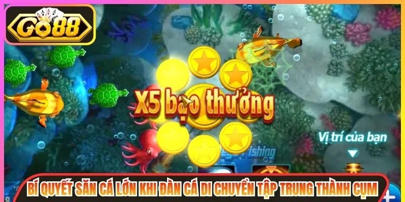 Bí quyết săn cá lớn khi đàn cá di chuyển tập trung thành cụm