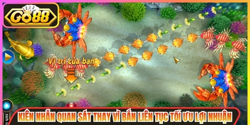 Kiên nhẫn quan sát thay vì bắn liên tục tối ưu lợi nhuận