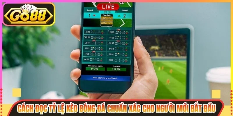 Lời kết