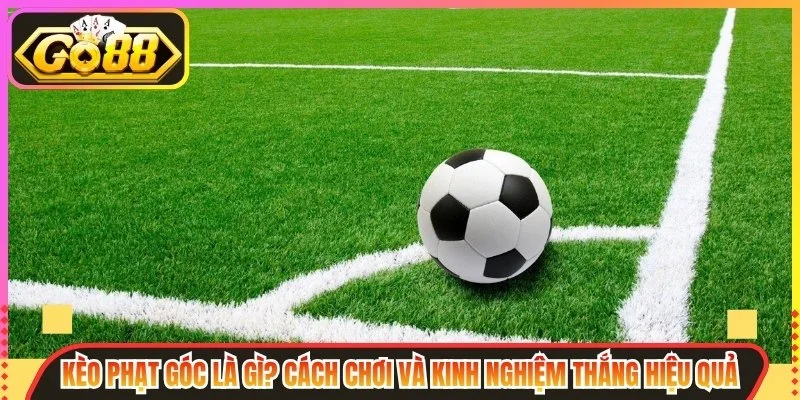 Lời kết
