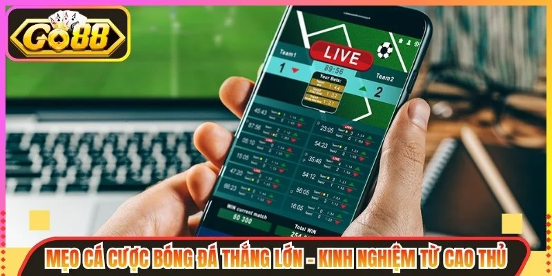 Lời kết