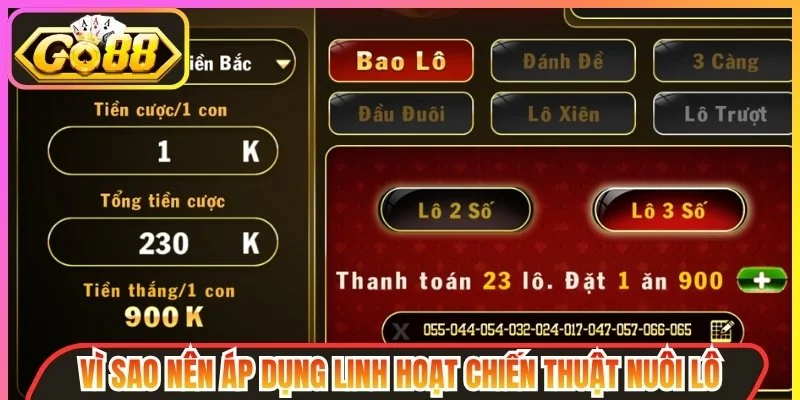 Chiến Thuật Nuôi Lô - Bí Kíp Hiệu Quả Giúp Tối Ưu Vốn